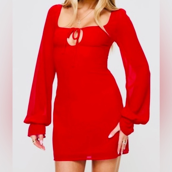 Princess Polly Dresses & Skirts - PRINCESS POLLY Long Sleeve Mini Dress
